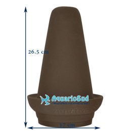 NATURALEZA ACUÁTICA - Cono de desove de disco