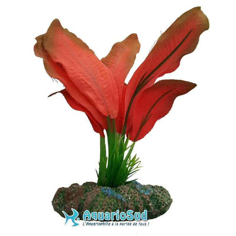 AQUA NOVA Roter Echinodorus – Höhe 13 cm – NP-13-SP1369