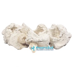 AQUA MEDIC Coral Pins - Soporte para esquejes de coral