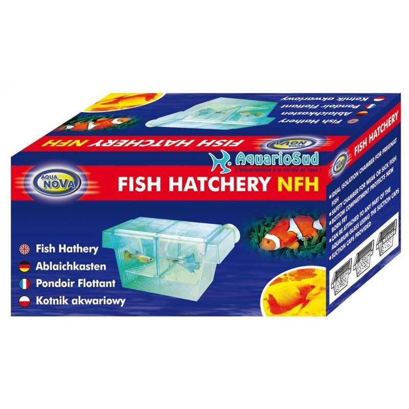 AQUA NOVA Transparente Fischlaichbox