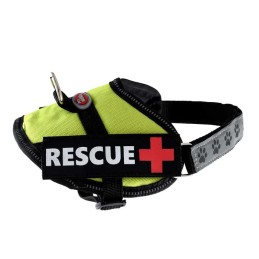 Pettorina per cani RESCUE Plus verde lime