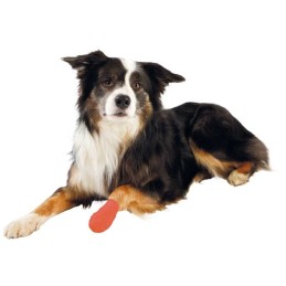 Erste-Hilfe-Verbandset