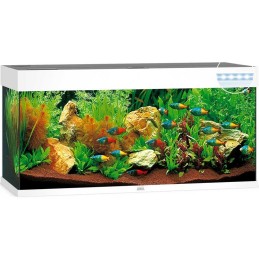 Acuario JUWEL Rio 240 Led Blanco