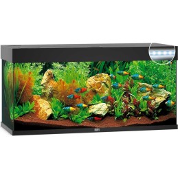 Aquarium JUWEL Rio 240 Led Noir
