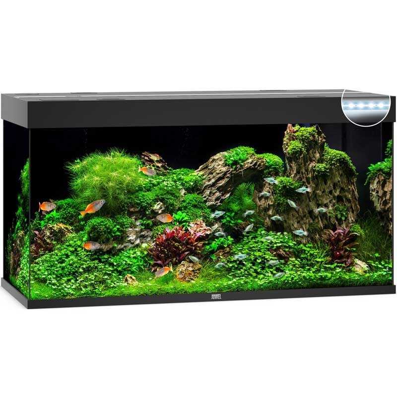 Acuario JUWEL Rio 350 Led noir - 350 Litros