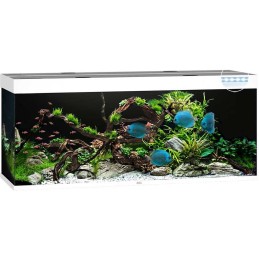 Aquarium JUWEL Rio 450 Led blanc - 450 Liter