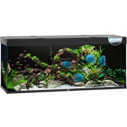 Acuario JUWEL Rio 450 Led noir - 450 Litros