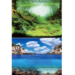 Póster de acuario AQUA NOVA Plantas / Océano