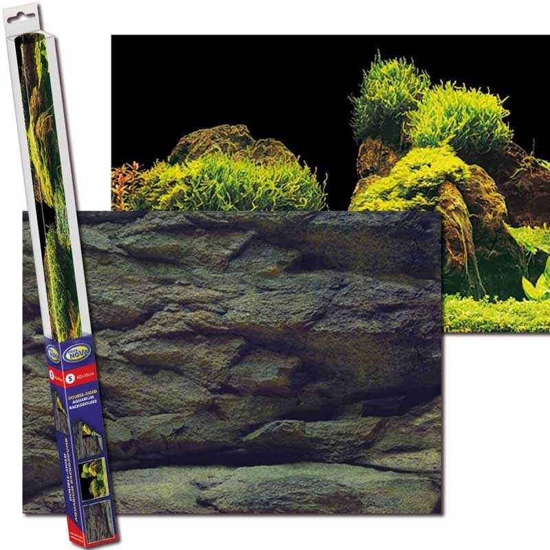 Póster del acuario AQUA NOVA Rocas/Plantas