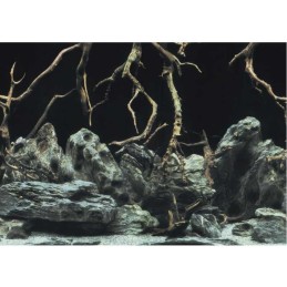 Póster del acuario AQUA NOVA Raíces/Fondo marino