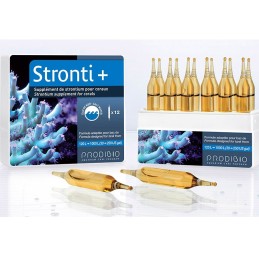 PRODIBIO Stronti + 12 ampoules