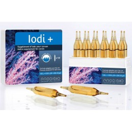 PRODIBIO Iodi + 6%separator%12%separator%30 ampoules