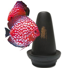 NATURA ACQUATICA pond pour Discus