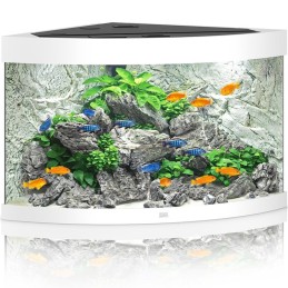 Acquario JUWEL Trigon 190 Led blanc - 190 litri
