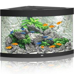 Acquario JUWEL Trigon 190 Led noir - 190 litri