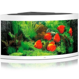 Acuario JUWEL Trigon 350 Led blanco