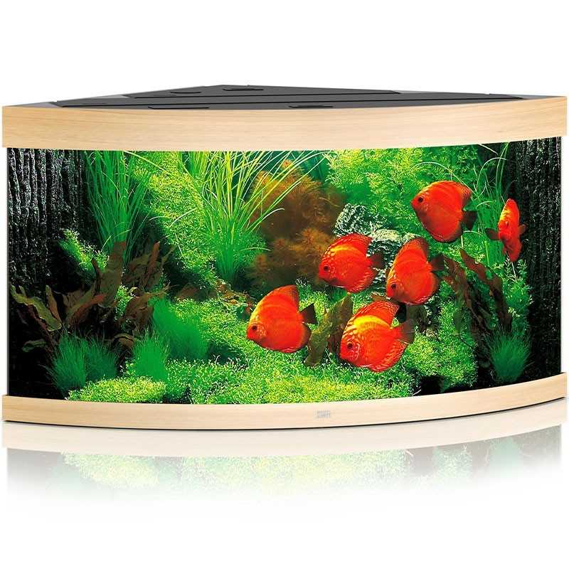 Acuario JUWEL Trigon 350 Led canela clara