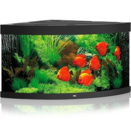 Acquario JUWEL Trigon 350 Led noir