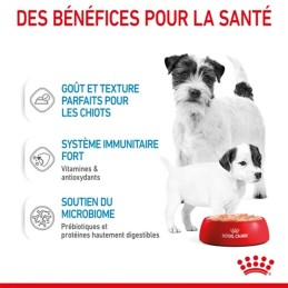 ROYAL CANIN Starter Mother & Babydog - Mousse pour chiot