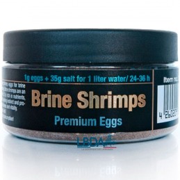 Huevos de Artemia DISCUSFOOD - Calidad Premium