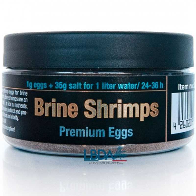 Huevos de Artemia DISCUSFOOD - Calidad Premium