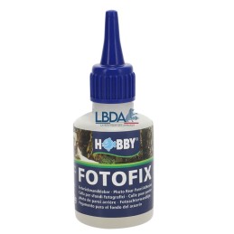 HOBBY Fotofix 50ml - Pegamento para carteles