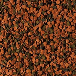 Chips Bionautic TROPICAL