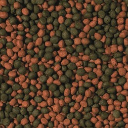 Pellet medio per ciclidi onnivori TROPICALI