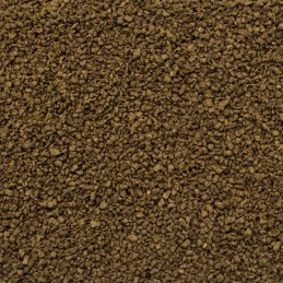 Disco tropical Gran Wild