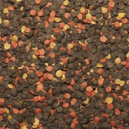 TROPICAL Malawi Chips