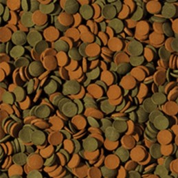 Mix di mini wafer TROPICALI