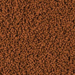 TROPICAL Garnelensticks