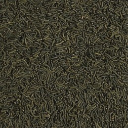 TROPICAL Krustenstangen