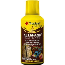 Tropischer Ketapang-Extrakt 250 ml