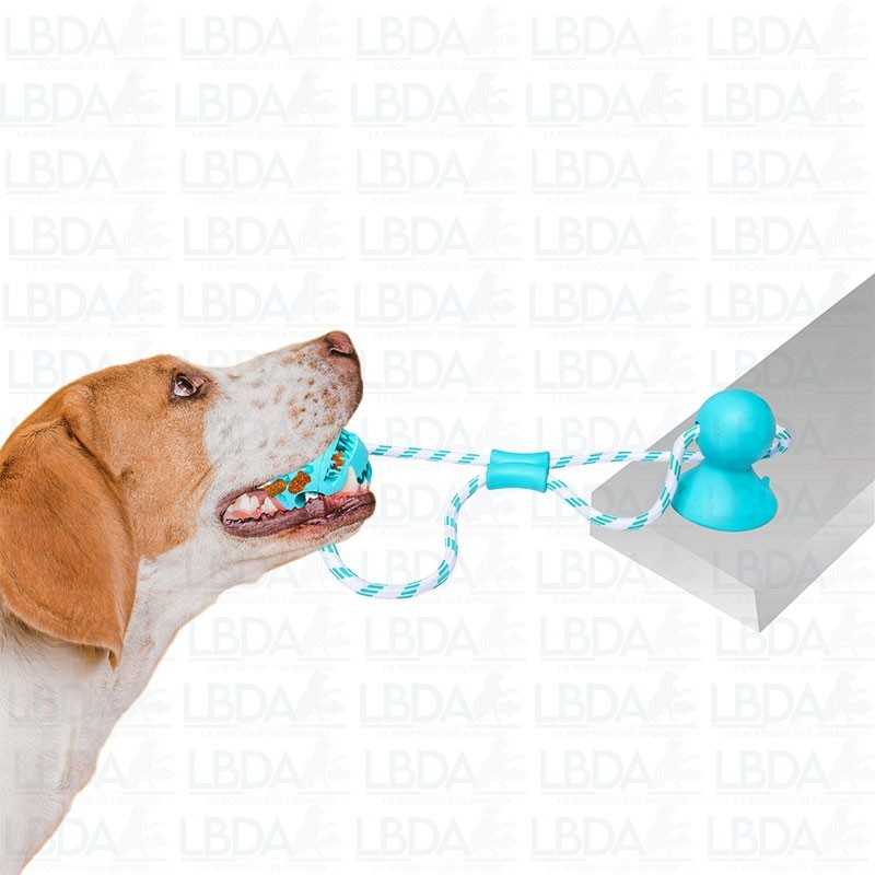 PET NOVA Pelota en cuerda con ventosa 7 cm