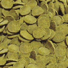 SERA Wels-Chips Nature 250ml %separator% 1000ml %separator% 10 litres