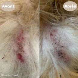 BIOVETOL - Baume Apaisant & Nourrissant Bio pour démangeaisons.