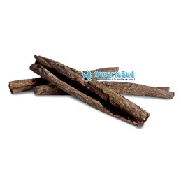 AMTRA - 4 tubi di Catappa