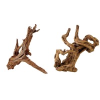 Roots and Natural Decor