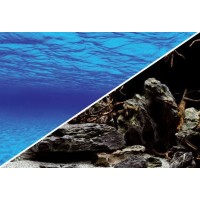 Poster de fond pour aquarium imprimé sur deux faces disponibles 