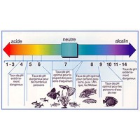 pH Regulator/Stabilizer
