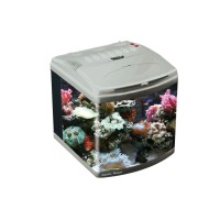Nano acquario