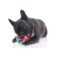 Juguetes para perros