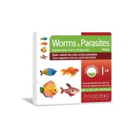 soins des poissons d'aquarium