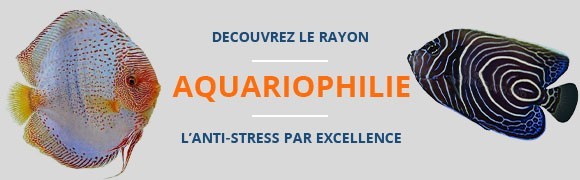 Le monde de l'aquariopjhilie